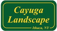 Cayuga Landscape, Ithaca NY
