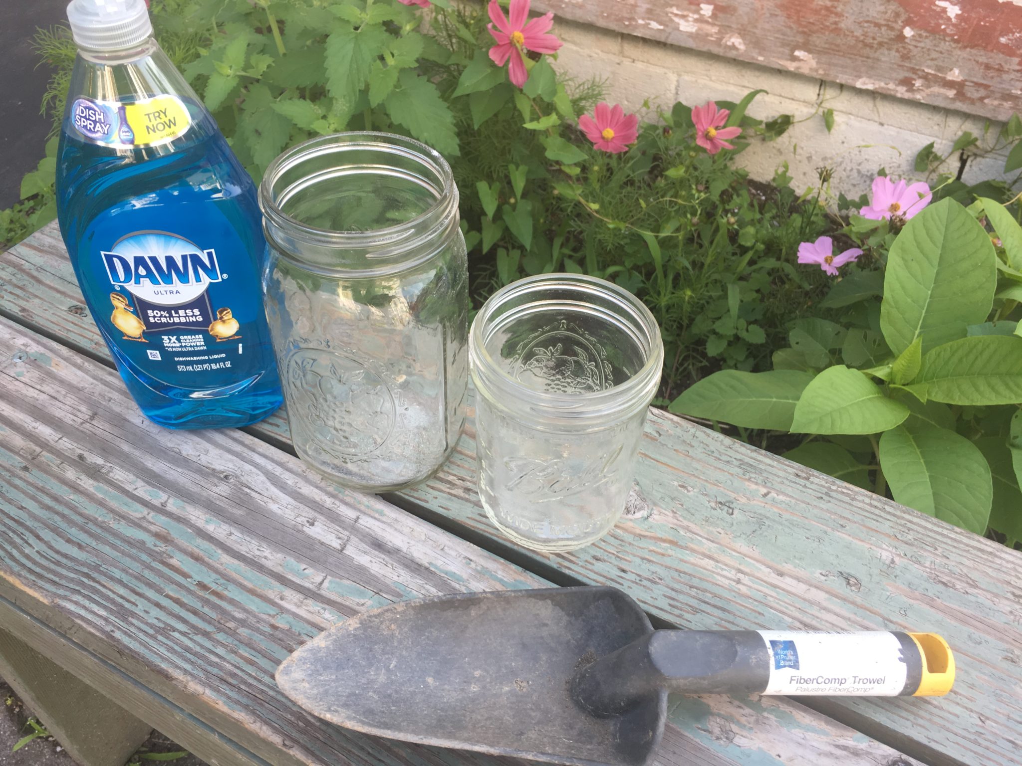 Soil Jar Science Ithaca Children's Garden