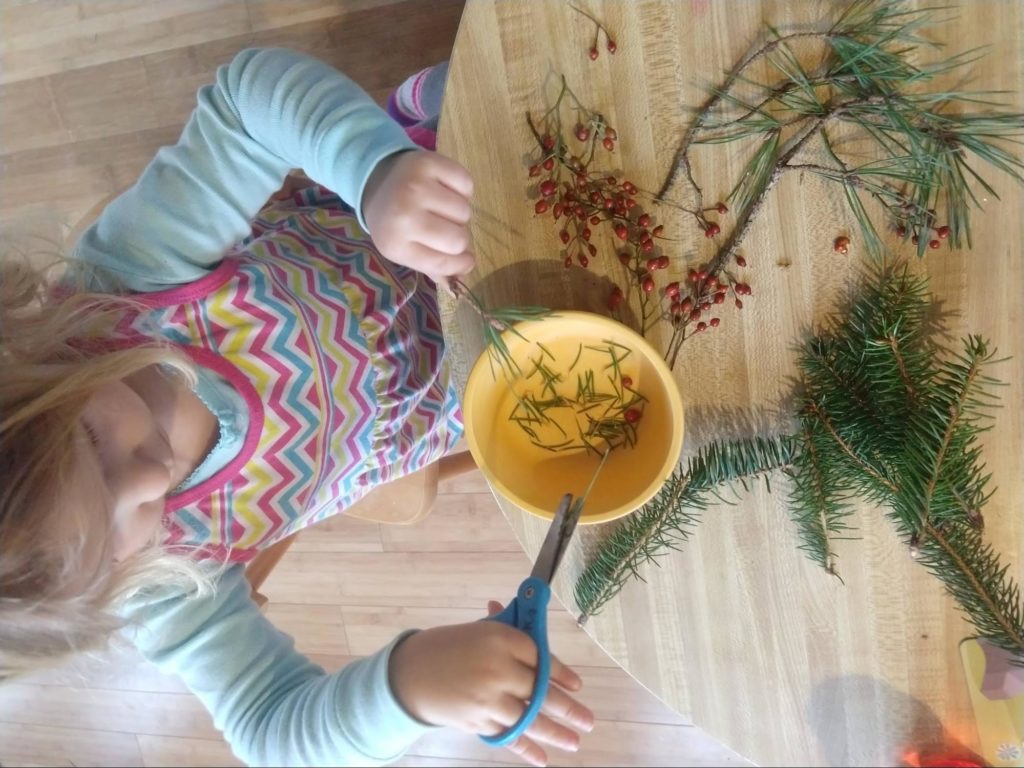 A small child holding scissors, cutting pine needles from a branch.