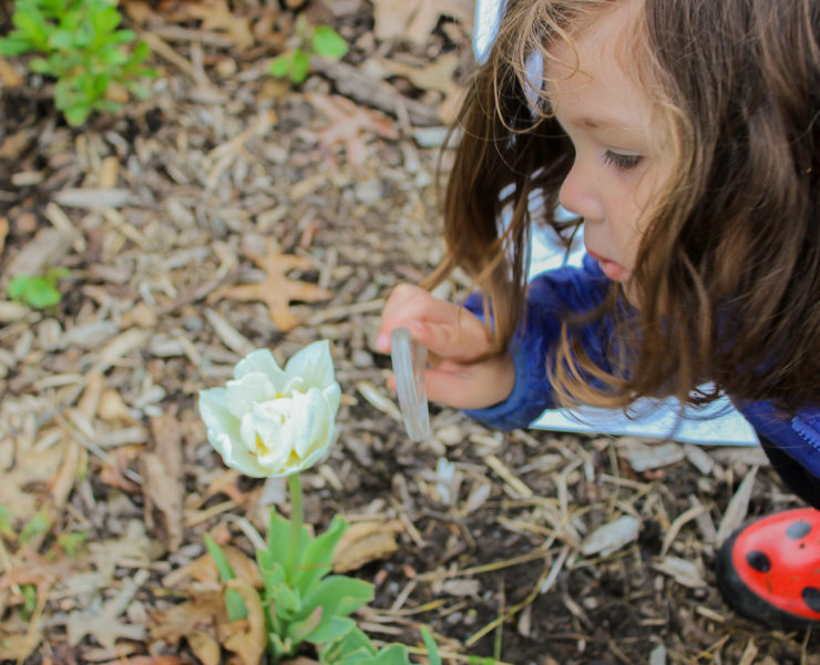 A small child observes a white flower with a small magnifying glass.