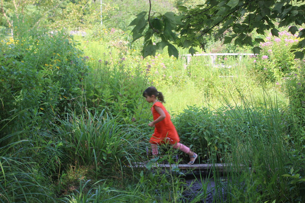 https://www.ithacachildrensgarden.org/wp-content/uploads/2021/03/ICG_video_background_02.jpg?id=9194