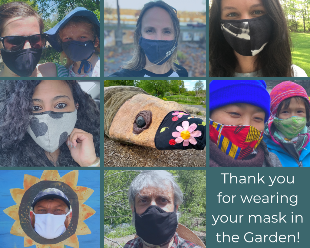 Photo collage of the ICG team members wearing protective face masks.