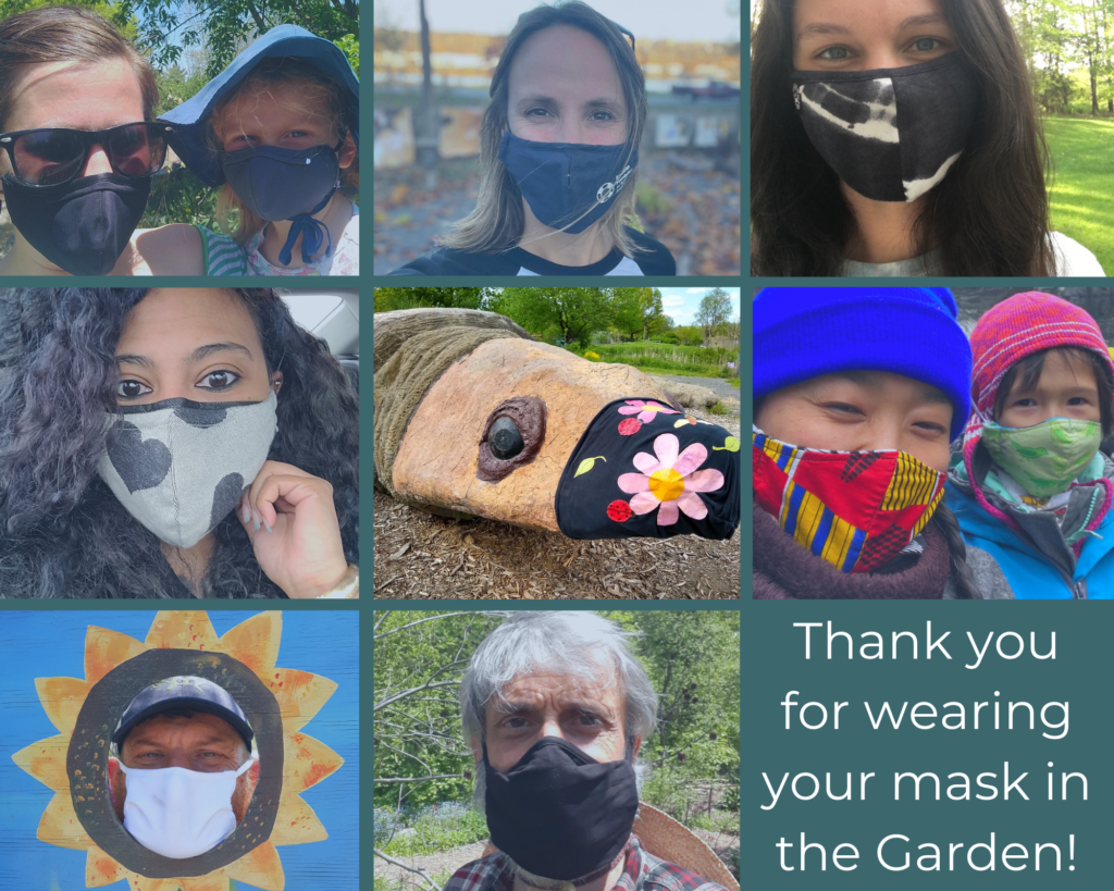 Photo collage of the ICG team members wearing protective face masks. 