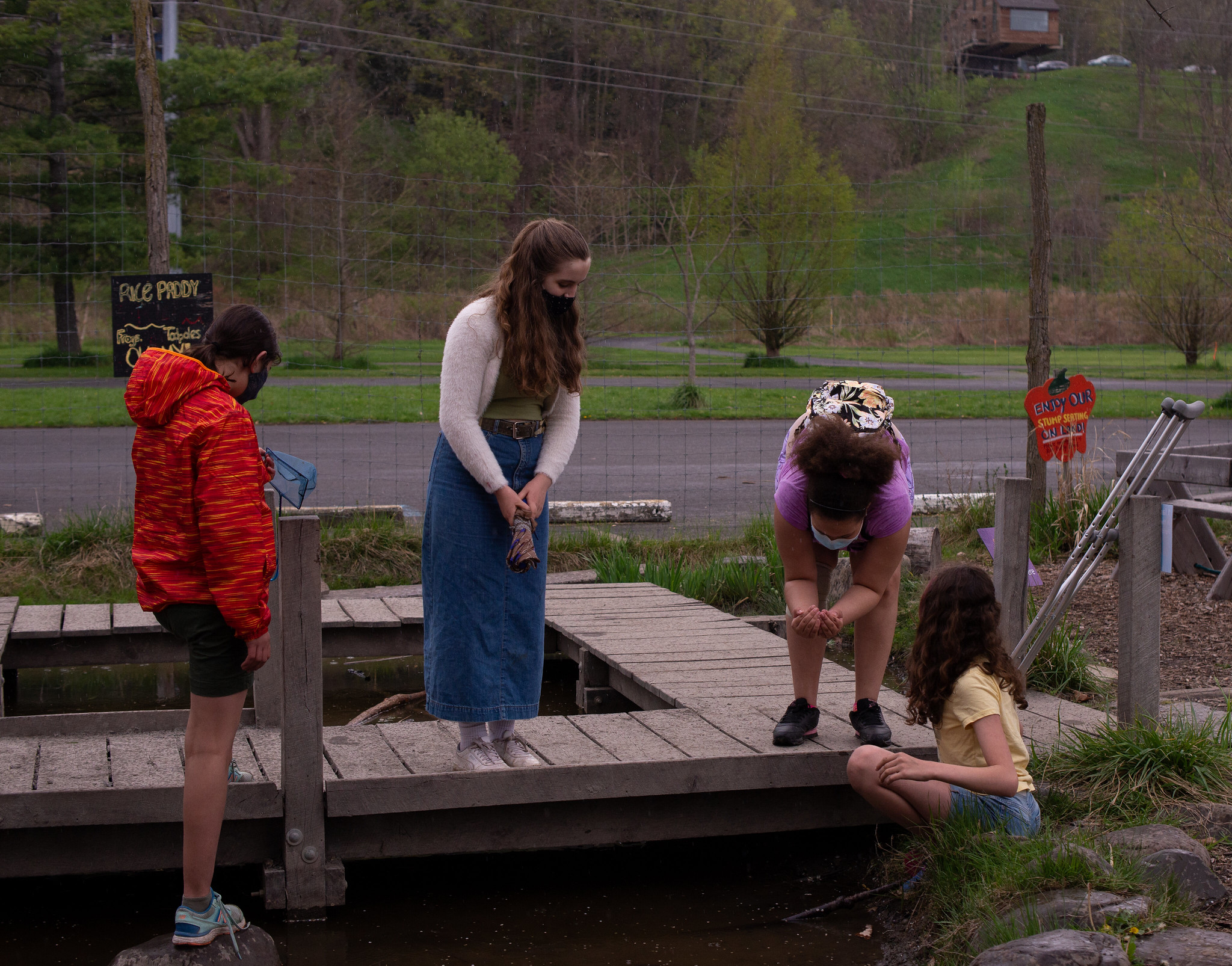 51147007014_c2b7be0040_k Gaia Circle observing tadpoles at the Rice Paddy Pond