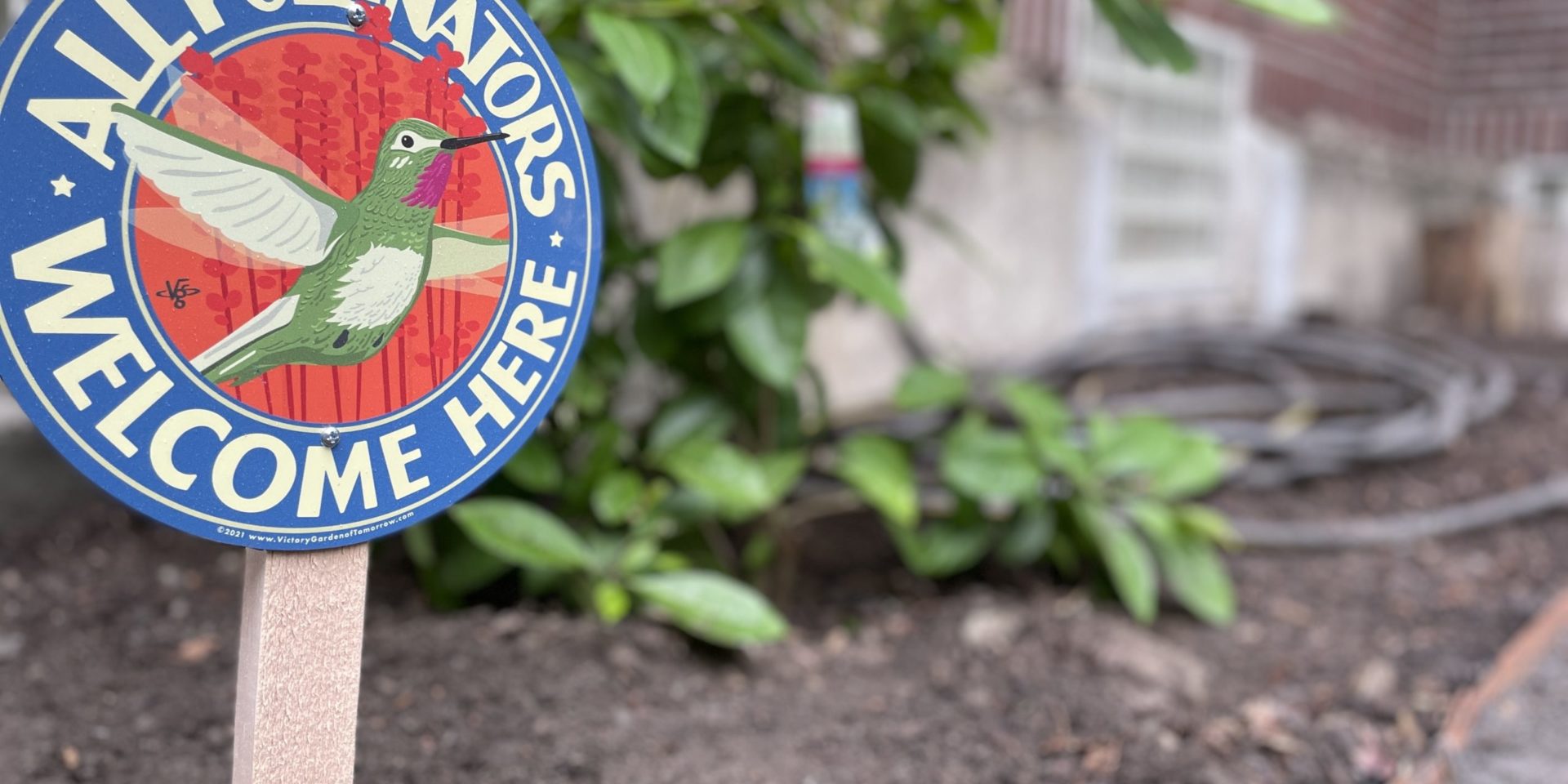 All pollinators welcome here