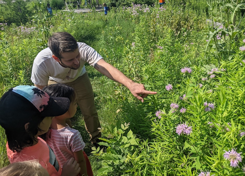 Tobias Mueller outdoors in nature with Willows, children that are ages 6 to 10, demonstrating how to spot insects among plants.