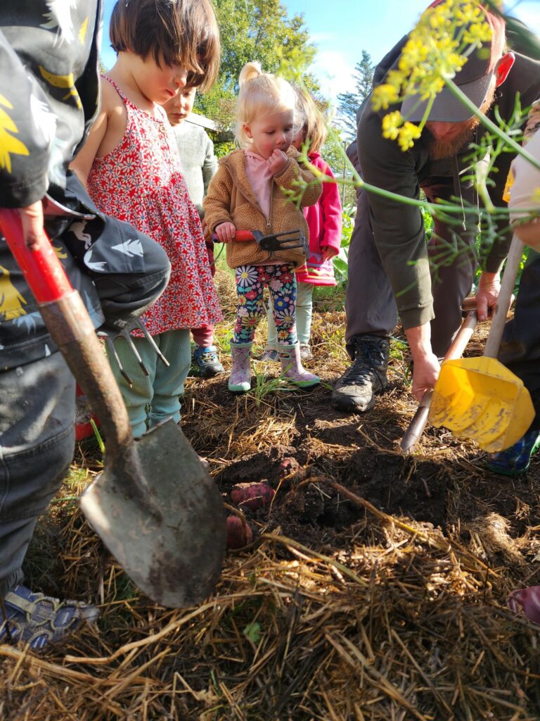 Jason McClevish guides a group of toddlers through harvesting potatoes. The kids hold a variety of tools - ready to get the job done!