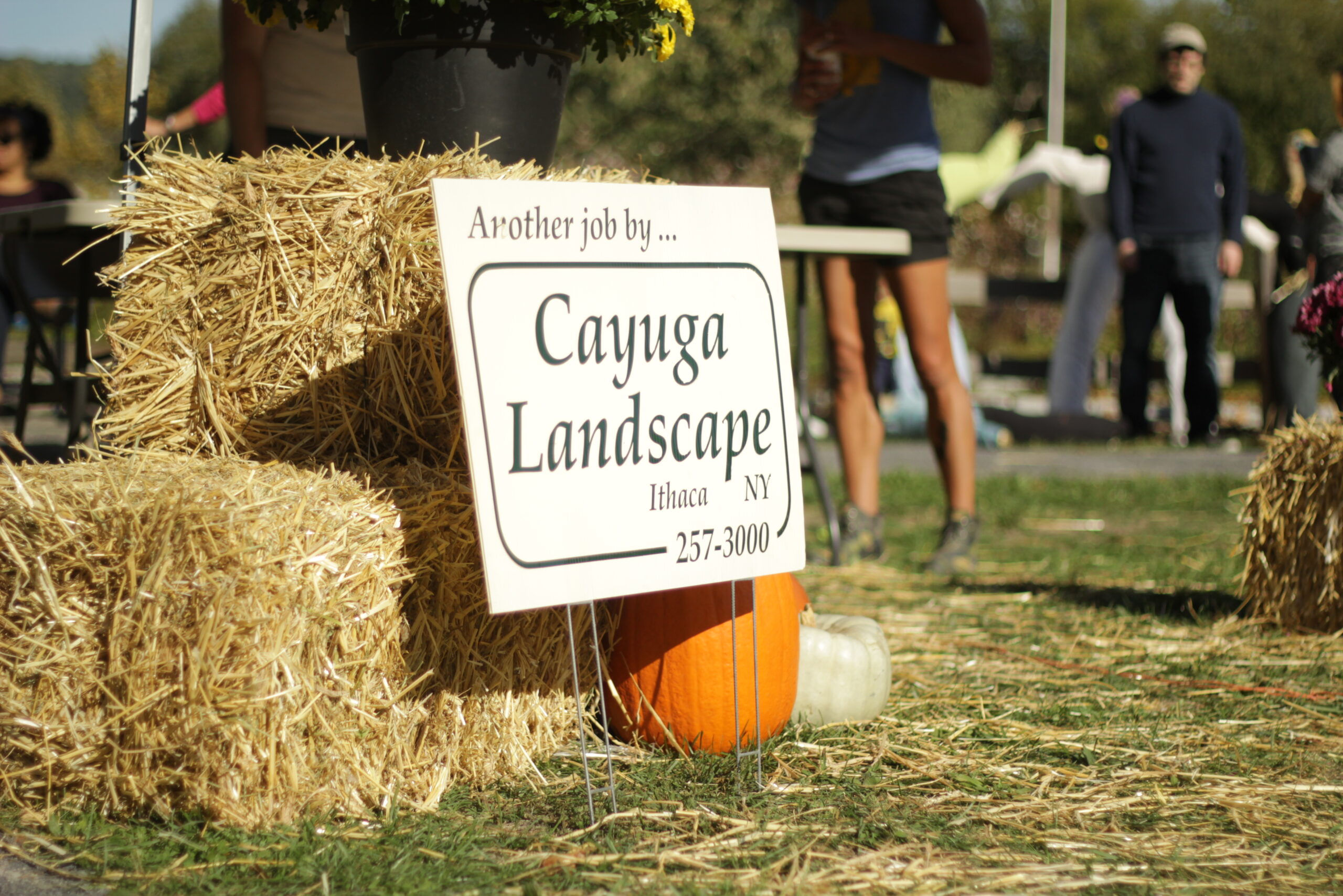 30271711952_60b6caaf8c_o