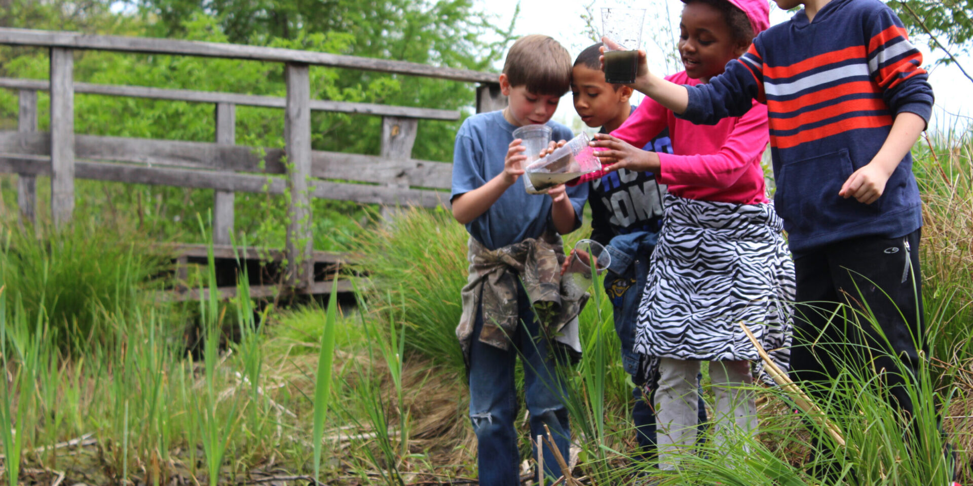 four children stand in a wetland area surrounded by tall grass with railings in the background