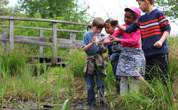 four children stand in a wetland area surrounded by tall grass with railings in the background