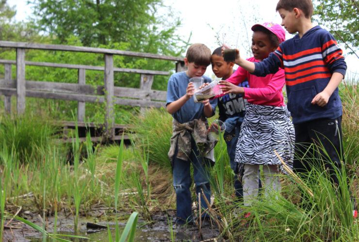 four children stand in a wetland area surrounded by tall grass with railings in the background