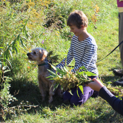 A child with a small dog in an outdoor setting